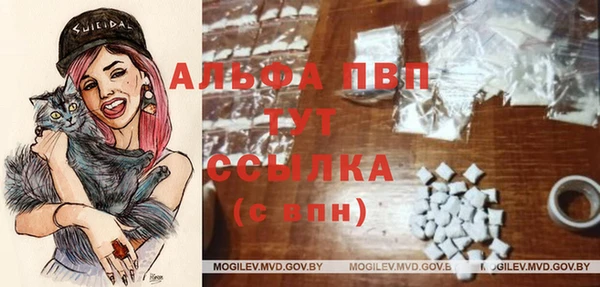 твердый Аркадак