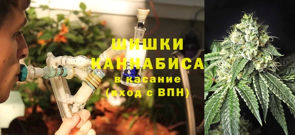 твердый Аркадак