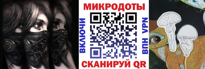 Псилоцибиновые грибы Psilocybine cubensis  Арзамас 