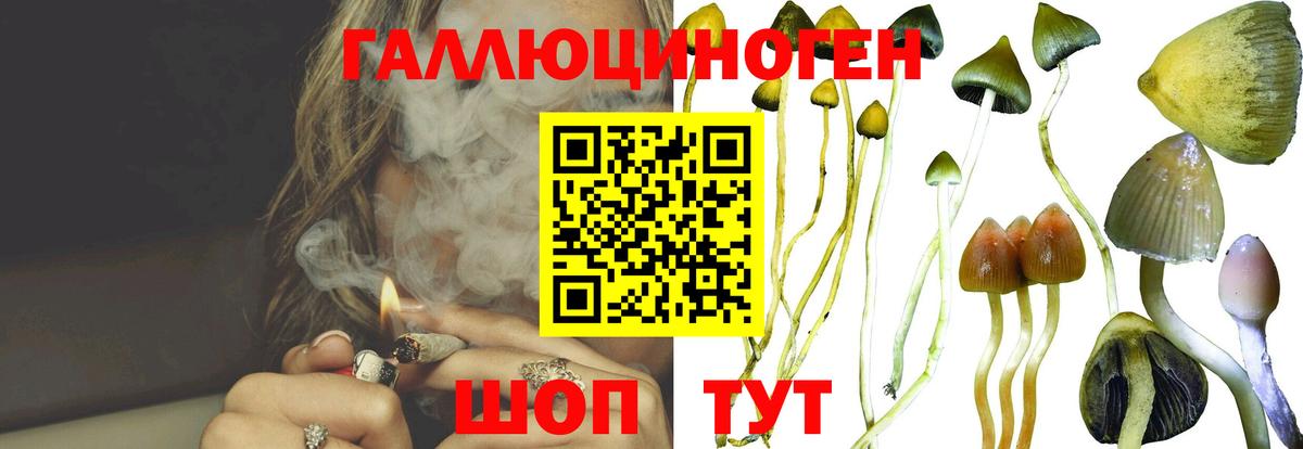 Галлюциногенные грибы мицелий  Вход с VPN  Арзамас 